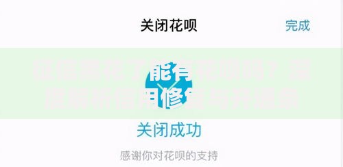 征信黑花了能有花呗吗？深度解析信用修复与开通条件