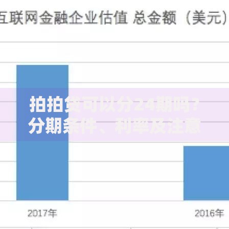拍拍贷可以分24期吗？分期条件、利率及注意事项解析