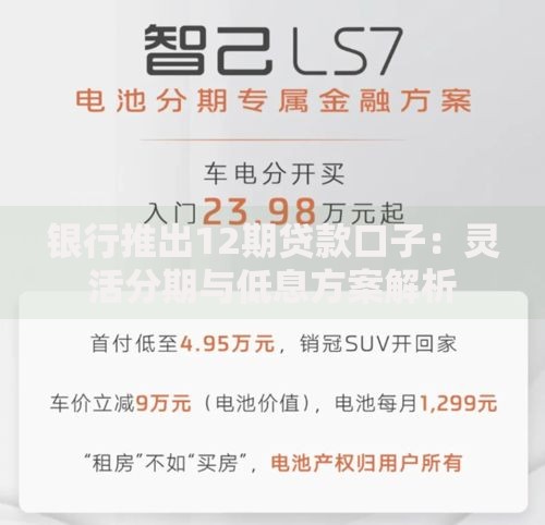 银行推出12期贷款口子：灵活分期与低息方案解析