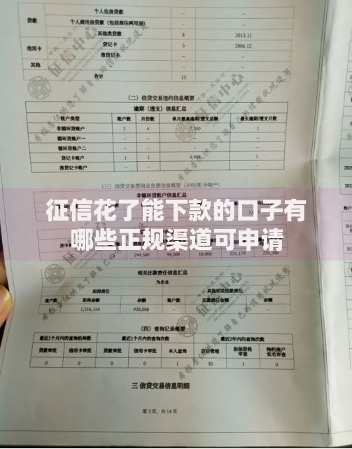 征信花了能下款的口子有哪些正规渠道可申请
