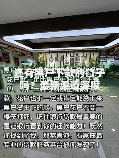 还有黑户下款的口子吗？最新渠道深度解析