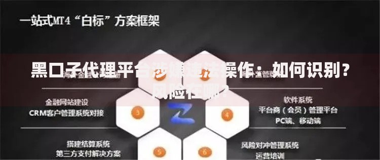 黑口子代理平台涉嫌违法操作：如何识别？风险在哪？