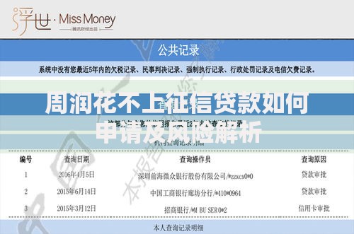 周润花不上征信贷款如何申请及风险解析