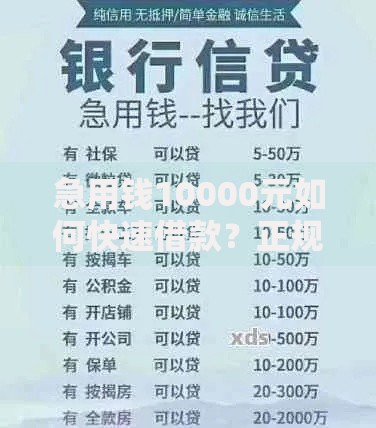 急用钱10000元如何快速借款？正规低息贷款渠道推荐