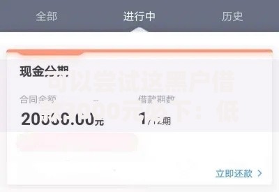 可以尝试这黑户借款3000元必下：低门槛借款渠道解析