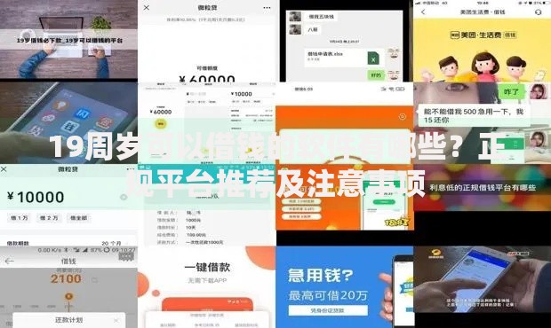 19周岁可以借钱的软件有哪些？正规平台推荐及注意事项
