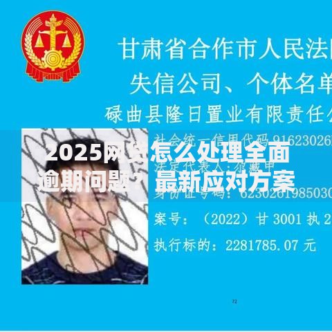 2025网贷怎么处理全面逾期问题？最新应对方案解析