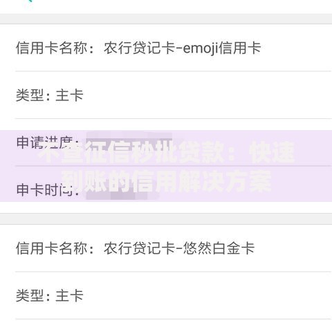 不查征信秒批贷款：快速到账的信用解决方案