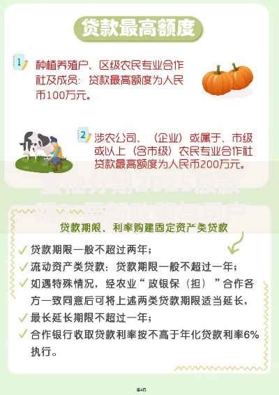 蜜柚分期2025放款吗？最新政策与用户应对策略