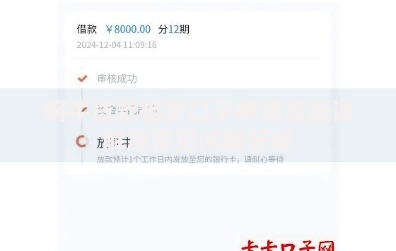 网牛贷款相关口子申请流程详解及常见问题答疑