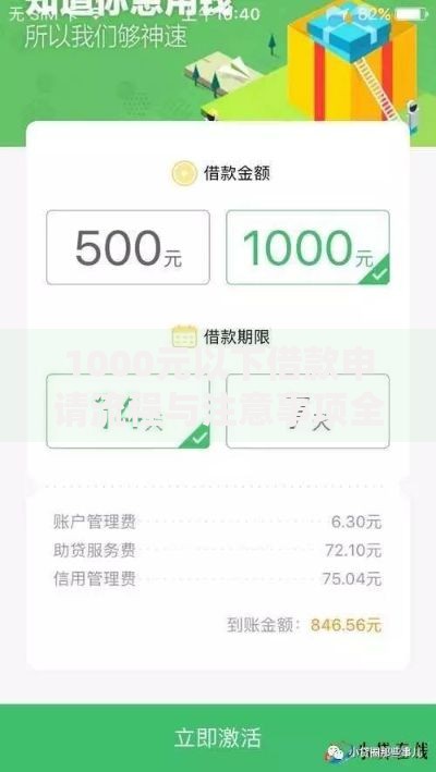 1000元以下借款申请流程与注意事项全解析