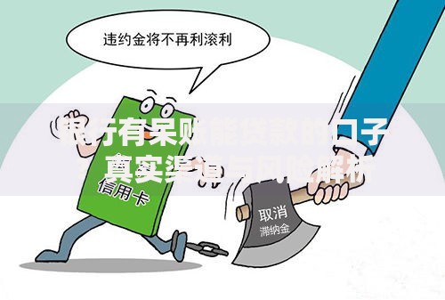 银行有呆账能贷款的口子？真实渠道与风险解析