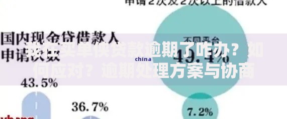 我在买单侠贷款逾期了咋办？如何应对？逾期处理方案与协商技巧解析