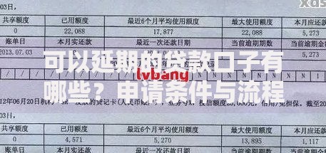 可以延期的贷款口子有哪些？申请条件与流程详解