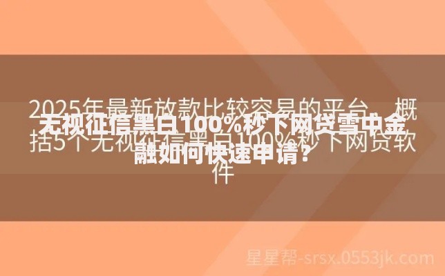 无视征信黑白100%秒下网贷雪中金融如何快速申请？