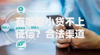 有哪些小贷不上征信？合法渠道与风险解析