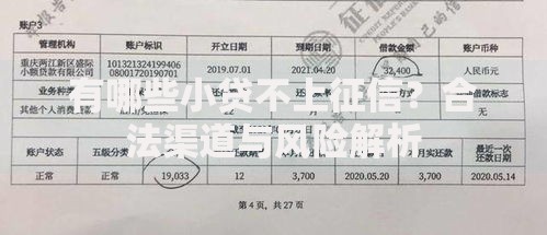 有哪些小贷不上征信？合法渠道与风险解析
