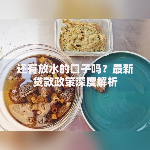 还有放水的口子吗?最新贷款政策深度解析 还有放水的口子吗?最新贷款政策深度解析
