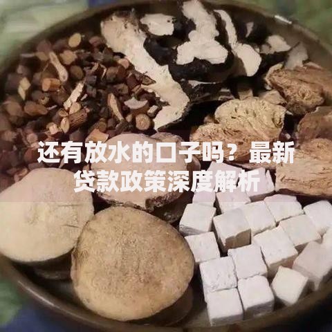 还有放水的口子吗?最新贷款政策深度解析 还有放水的口子吗?最新贷款政策深度解析