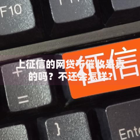 上征信的网贷不催收是真的吗？不还会怎样？