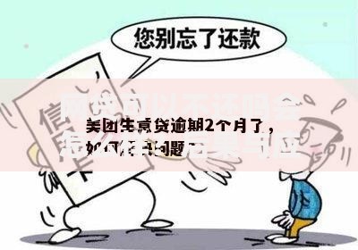 网贷可以不还吗会怎么样？后果与应对策略解析