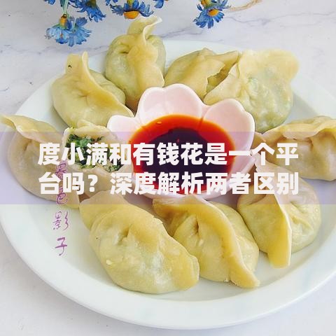 度小满和有钱花是一个平台吗？深度解析两者区别与关联