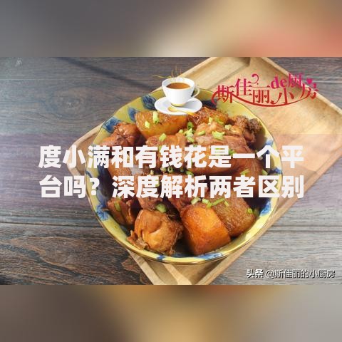 度小满和有钱花是一个平台吗？深度解析两者区别与关联