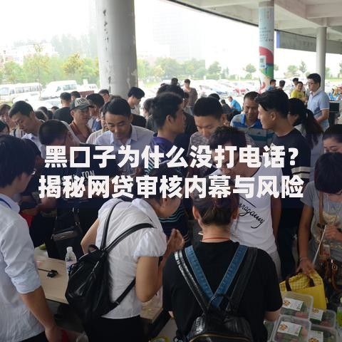 黑口子为什么没打电话？揭秘网贷审核内幕与风险预警