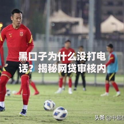 黑口子为什么没打电话？揭秘网贷审核内幕与风险预警