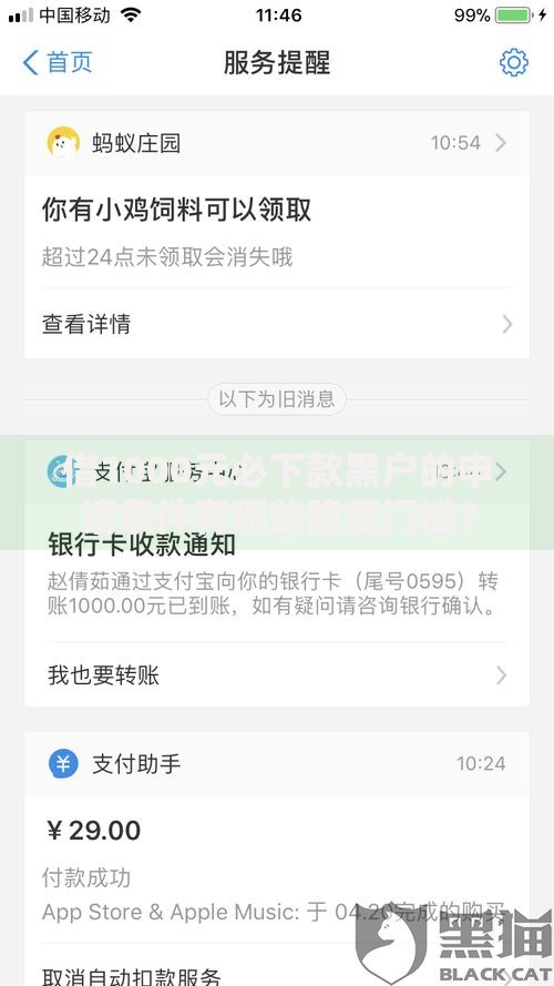 借1000元必下款黑户的申请条件有哪些隐藏门槛？