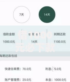 借1000元必下款黑户的申请条件有哪些隐藏门槛？