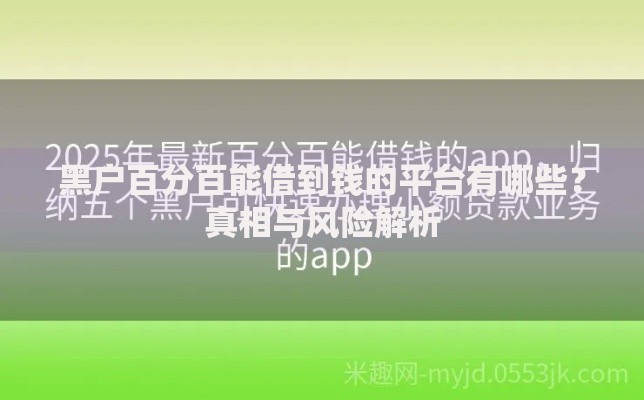 黑户百分百能借到钱的平台有哪些？真相与风险解析