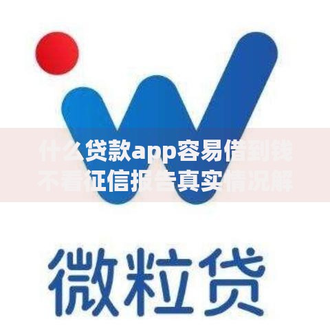 什么贷款app容易借到钱不看征信报告真实情况解析