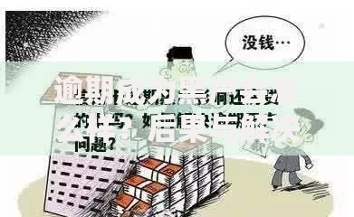 逾期成为黑户会怎么样？后果与解决方案解析