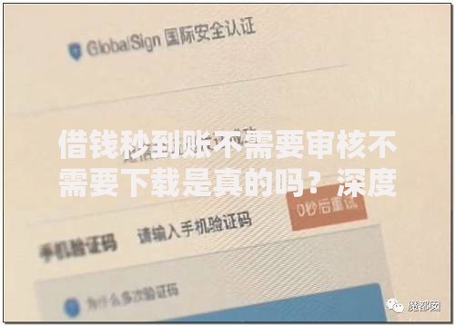 借钱秒到账不需要审核不需要下载是真的吗？深度解析