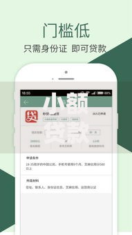 小额贷款哪个口子好？精选平台解析与申请指南