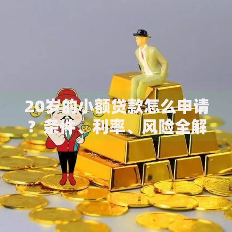 20岁的小额贷款怎么申请？条件、利率、风险全解析