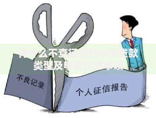 有什么不查征信的小额贷款类型及申请注意事项