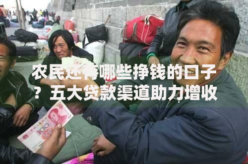 农民还有哪些挣钱的口子？五大贷款渠道助力增收