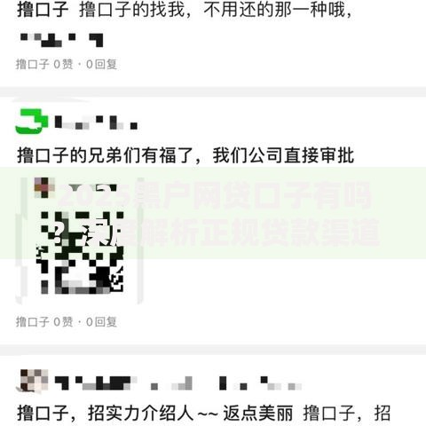 2025黑户网贷口子有吗？深度解析正规贷款渠道与风险规避