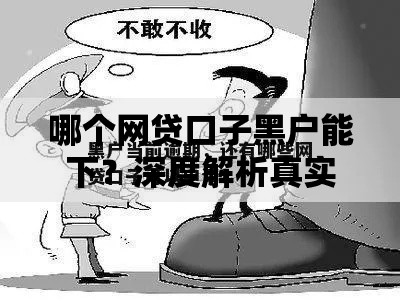 哪个网贷口子黑户能下？深度解析真实渠道与避坑指南