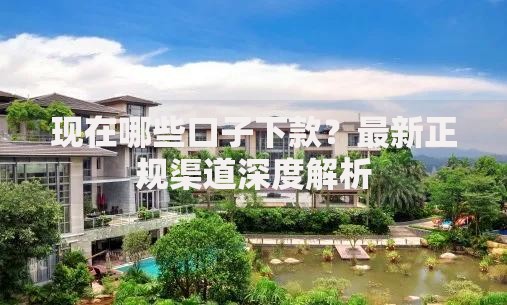 现在哪些口子下款？最新正规渠道深度解析