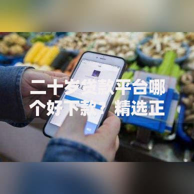 二十岁贷款平台哪个好下款？精选正规渠道解析