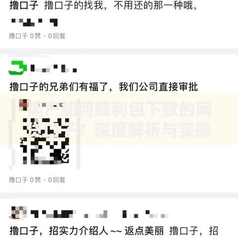 黑户如何顺利包下款的网贷口子？深度解析与实操指南