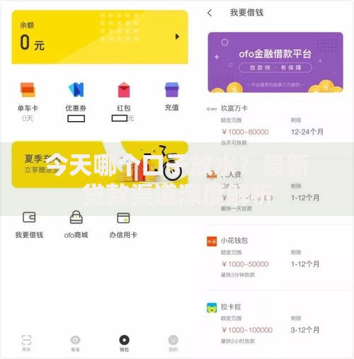 今天哪个口子放水？最新贷款渠道深度解析