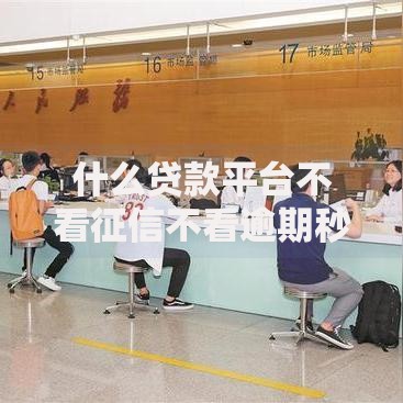 什么贷款平台不看征信不看逾期秒批？真实渠道解析