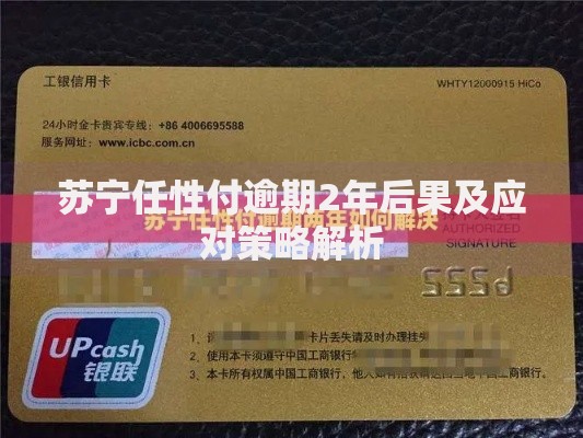 苏宁任性付逾期2年后果及应对策略解析