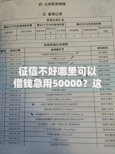 征信不好哪里可以借钱急用50000？这5种方法真实测评