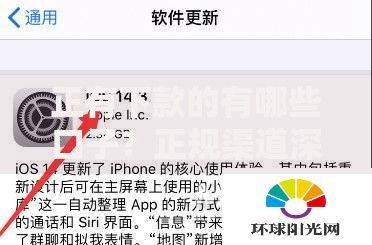 正有下款的有哪些口子？正规渠道深度解析