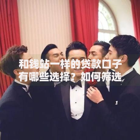 和钱站一样的贷款口子有哪些选择？如何筛选最适合的平台？